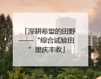 深耕希望的田野——“综合试验田”里庆丰收