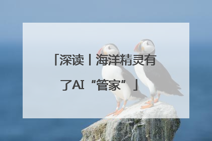 深读丨海洋精灵有了AI“管家”