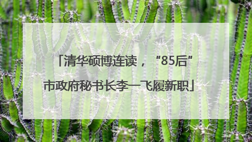 清华硕博连读，“85后”市政府秘书长李一飞履新职