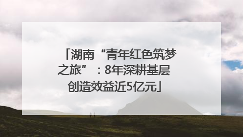 湖南“青年红色筑梦之旅”：8年深耕基层创造效益近5亿元