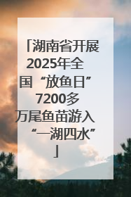 湖南省开展2025年全国“放鱼日” 7200多万尾鱼苗游入“一湖四水”