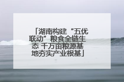 湖南构建“五优联动”粮食全链生态 千万亩粮源基地夯实产业根基