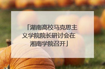 湖南高校马克思主义学院院长研讨会在湘南学院召开