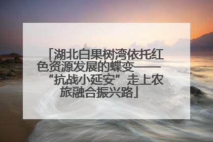 湖北白果树湾依托红色资源发展的蝶变——“抗战小延安”走上农旅融合振兴路