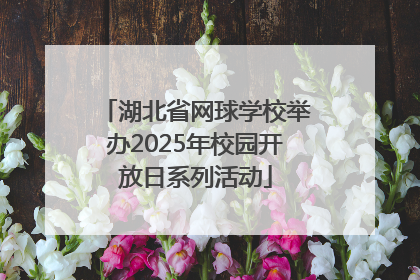 湖北省网球学校举办2025年校园开放日系列活动