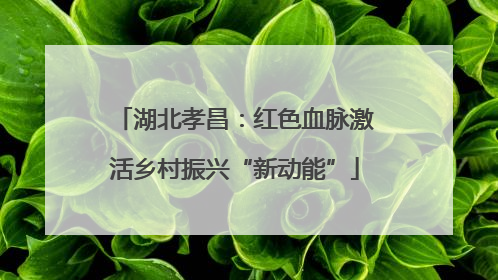 湖北孝昌：红色血脉激活乡村振兴“新动能”