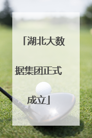 湖北大数据集团正式成立