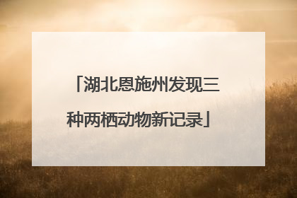 湖北恩施州发现三种两栖动物新记录