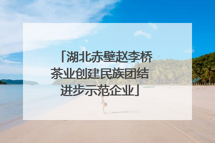湖北赤壁赵李桥茶业创建民族团结进步示范企业