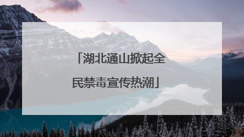 湖北通山掀起全民禁毒宣传热潮