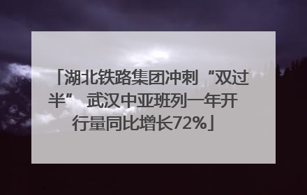 湖北铁路集团冲刺“双过半” 武汉中亚班列一年开行量同比增长72%