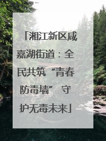湘江新区咸嘉湖街道：全民共筑“青春防毒墙” 守护无毒未来