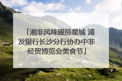 湘非风味碰撞星城 浦发银行长沙分行协办中非经贸博览会美食节