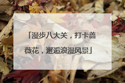 漫步八大关，打卡蔷薇花，邂逅浪漫风景
