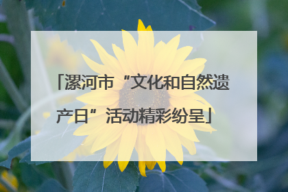 漯河市“文化和自然遗产日”活动精彩纷呈