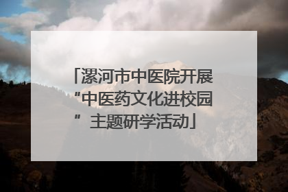 漯河市中医院开展“中医药文化进校园”主题研学活动