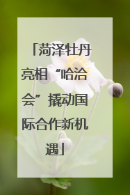 菏泽牡丹亮相“哈洽会”撬动国际合作新机遇
