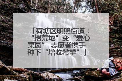 荷塘区明照街道：“撂荒地”变“爱心菜园” 志愿者携手种下“增收希望”