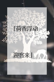 荷香浮动迎客来