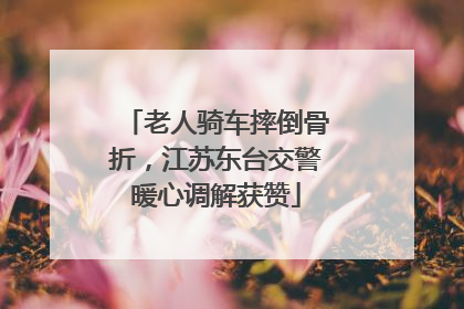 老人骑车摔倒骨折，江苏东台交警暖心调解获赞