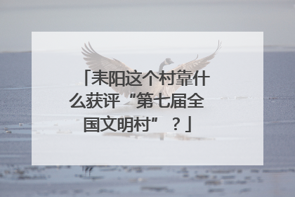 耒阳这个村靠什么获评“第七届全国文明村”？