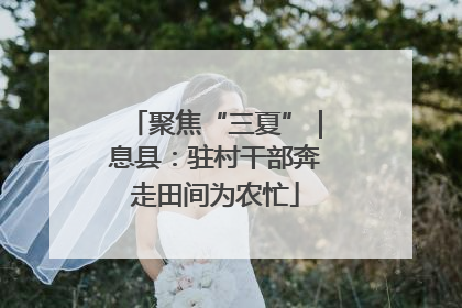 聚焦“三夏”｜息县：驻村干部奔走田间为农忙