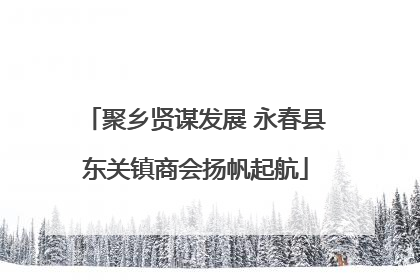 聚乡贤谋发展 永春县东关镇商会扬帆起航