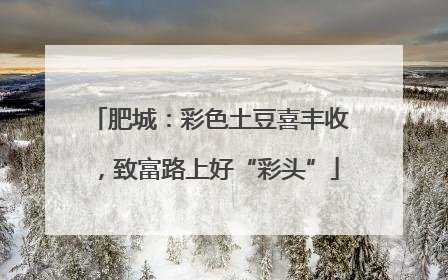 肥城：彩色土豆喜丰收，致富路上好“彩头”