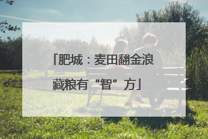 肥城：麦田翻金浪藏粮有“智”方