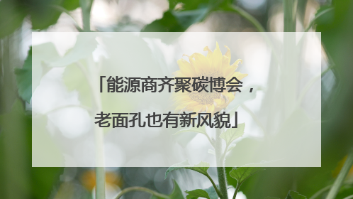 能源商齐聚碳博会，老面孔也有新风貌