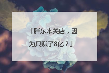 胖东来关店，因为只赚了8亿？