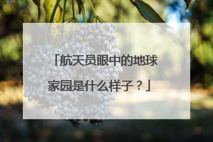航天员眼中的地球家园是什么样子？