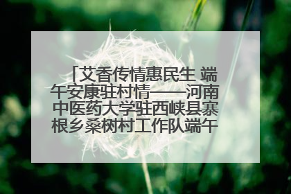艾香传情惠民生 端午安康驻村情——河南中医药大学驻西峡县寨根乡桑树村工作队端午中医惠民记