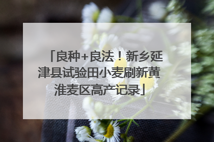 良种+良法！新乡延津县试验田小麦刷新黄淮麦区高产记录