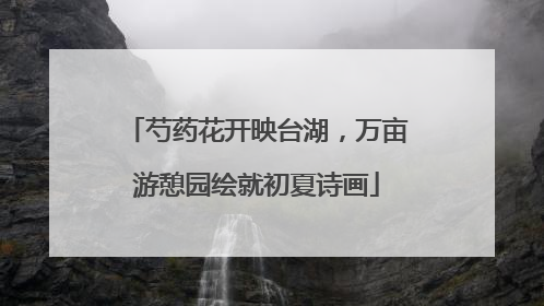 芍药花开映台湖，万亩游憩园绘就初夏诗画
