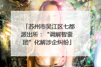 苏州市吴江区七都派出所：“调解智囊团”化解涉企纠纷