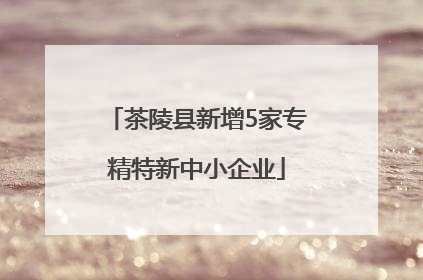 茶陵县新增5家专精特新中小企业