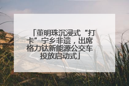董明珠沉浸式“打卡”宁乡非遗，出席格力钛新能源公交车投放启动式