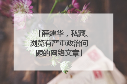 薛建华，私藏、浏览有严重政治问题的网络文章
