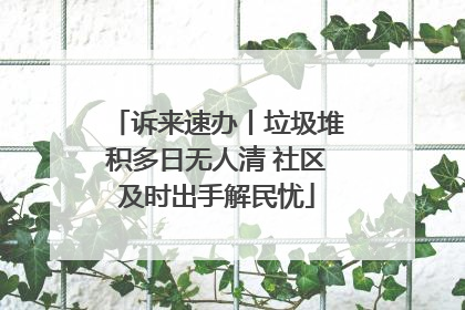 诉来速办丨垃圾堆积多日无人清 社区及时出手解民忧