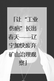 让“工业伤疤”长出春天——辽宁加快废弃矿山治理观察