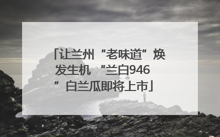让兰州“老味道”焕发生机 “兰白946”白兰瓜即将上市