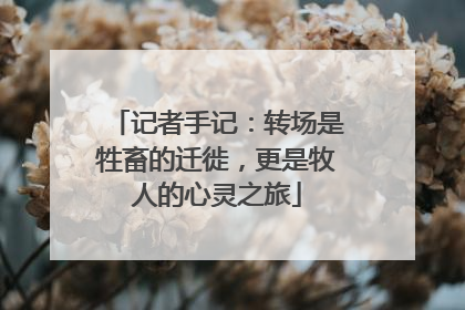 记者手记：转场是牲畜的迁徙，更是牧人的心灵之旅