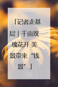 记者走基层｜千亩玫瑰花开 美景带来“钱景”