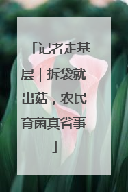 记者走基层｜拆袋就出菇，农民育菌真省事