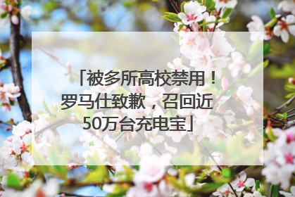 被多所高校禁用！罗马仕致歉，召回近50万台充电宝