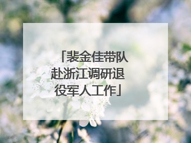 裴金佳带队赴浙江调研退役军人工作