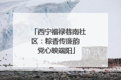 西宁福禄巷南社区：粽香传廉韵 党心映端阳