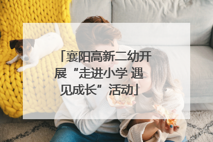 襄阳高新二幼开展“走进小学 遇见成长”活动