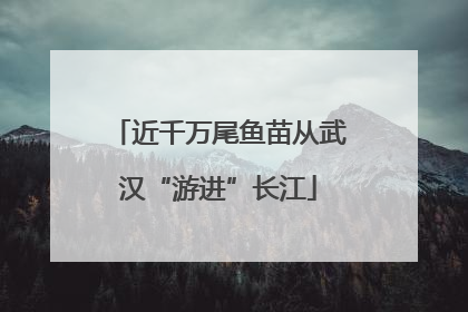 近千万尾鱼苗从武汉“游进”长江